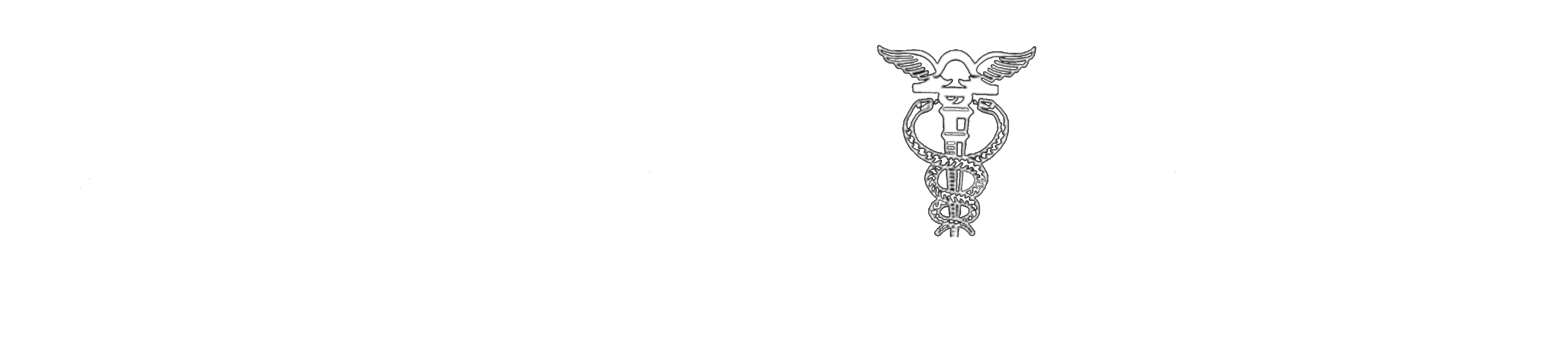 Contábil Casoni - Assessoria e Contabilidade